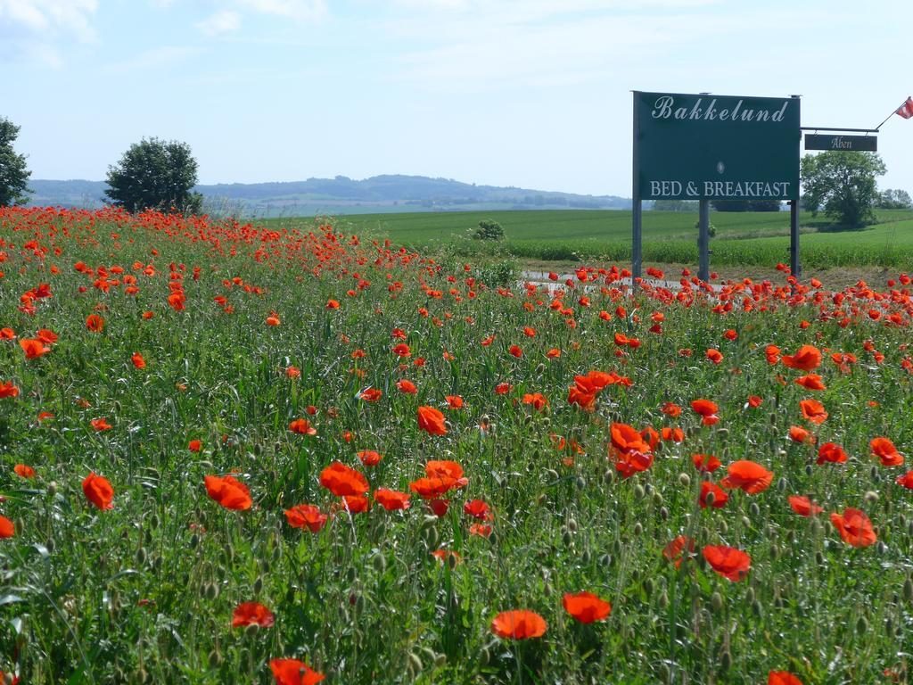 Bakkelund Bed & Breakfast Borre Dış mekan fotoğraf